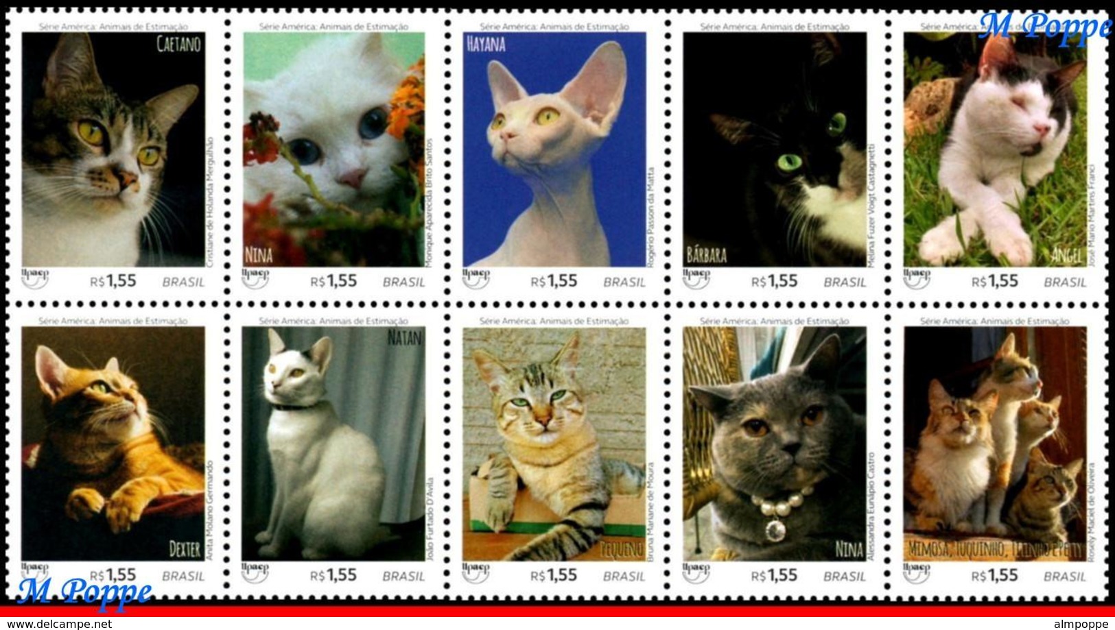 Ref. BR-V2018-09-2 BRAZIL 2018 - PETS, UPAEP, AMERICA, SERIES, CATS, SET MNH, ANIMALS, FAUNA 10V - Unused Stamps