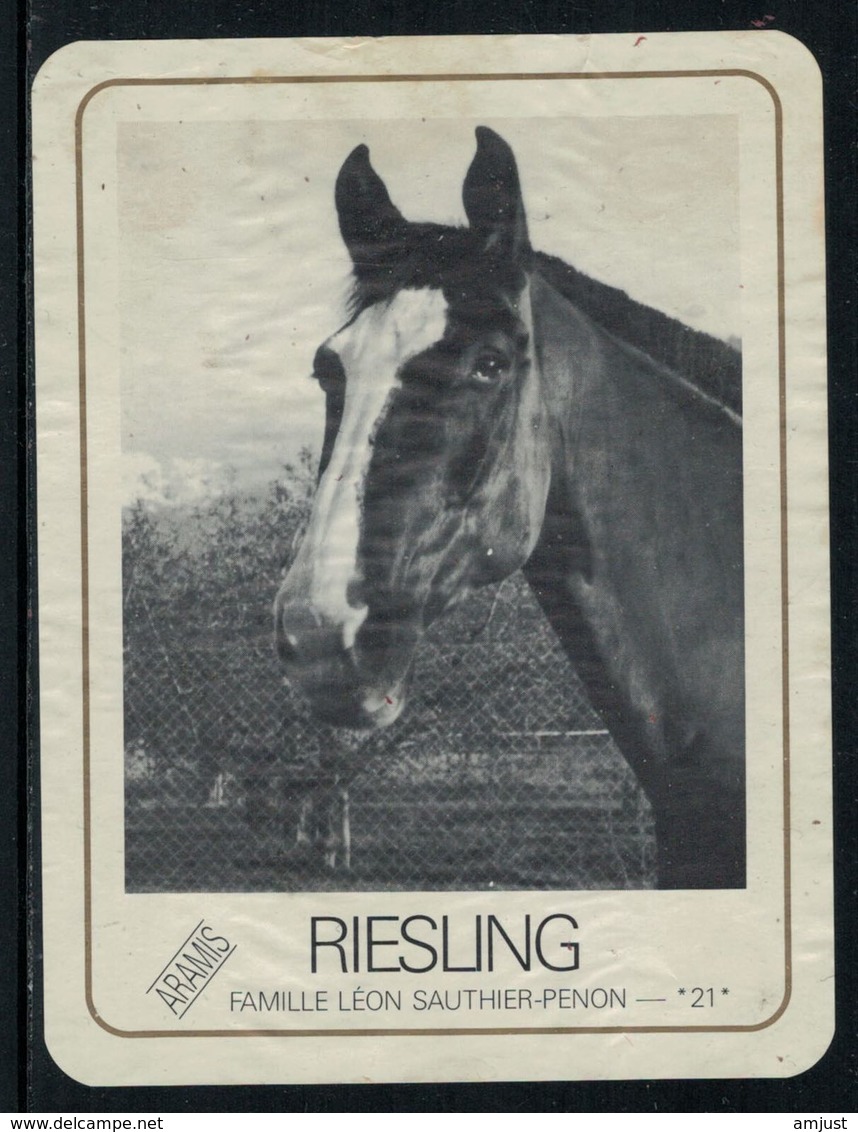 Rare // Etiquette De Vin // Chevaux  // Riesling, Famille Léon Sauthier-Penon - Pferde