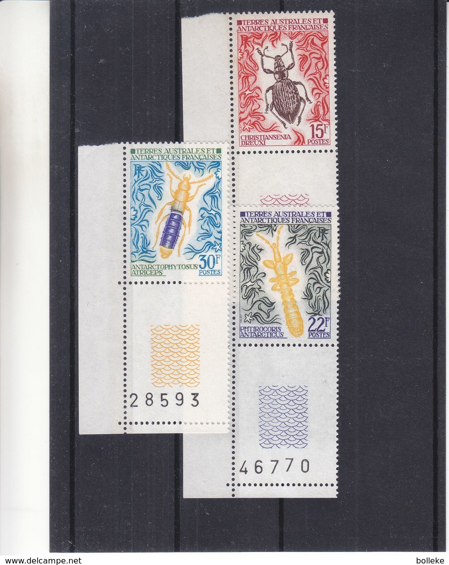 TAAF - Insectes - Yvert 49 / 51 ** - MNH - Valeur 59 Euros - Neufs