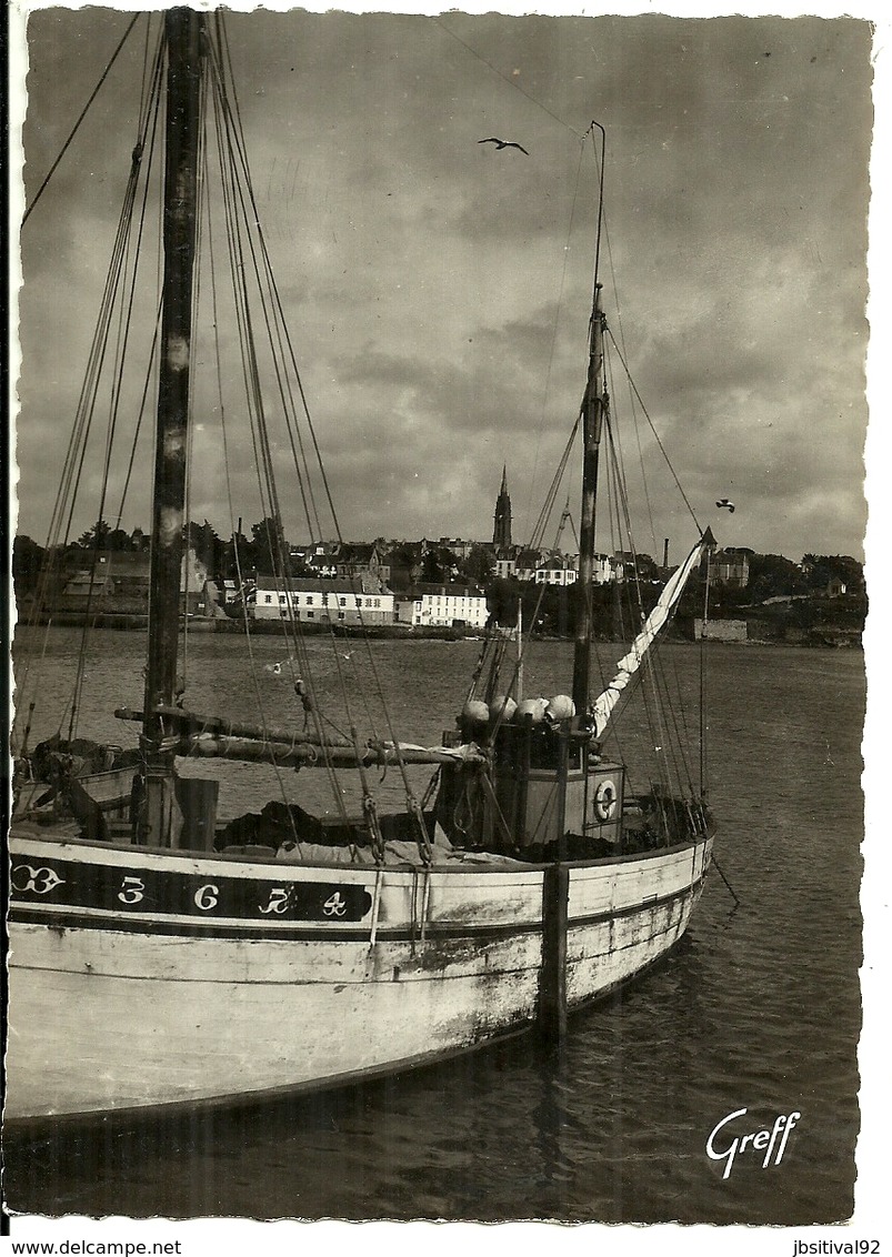 29 DOUARNENEZ   Vue De La Ville Prise De Treboul   Edit GREEF - Douarnenez