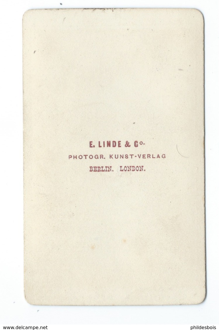 PHOTO ORIGINALE Véritable FIN XIXeme  E.LINDE&CO  PLANTE LILIUM POMPONICUM - Anciennes (Av. 1900)