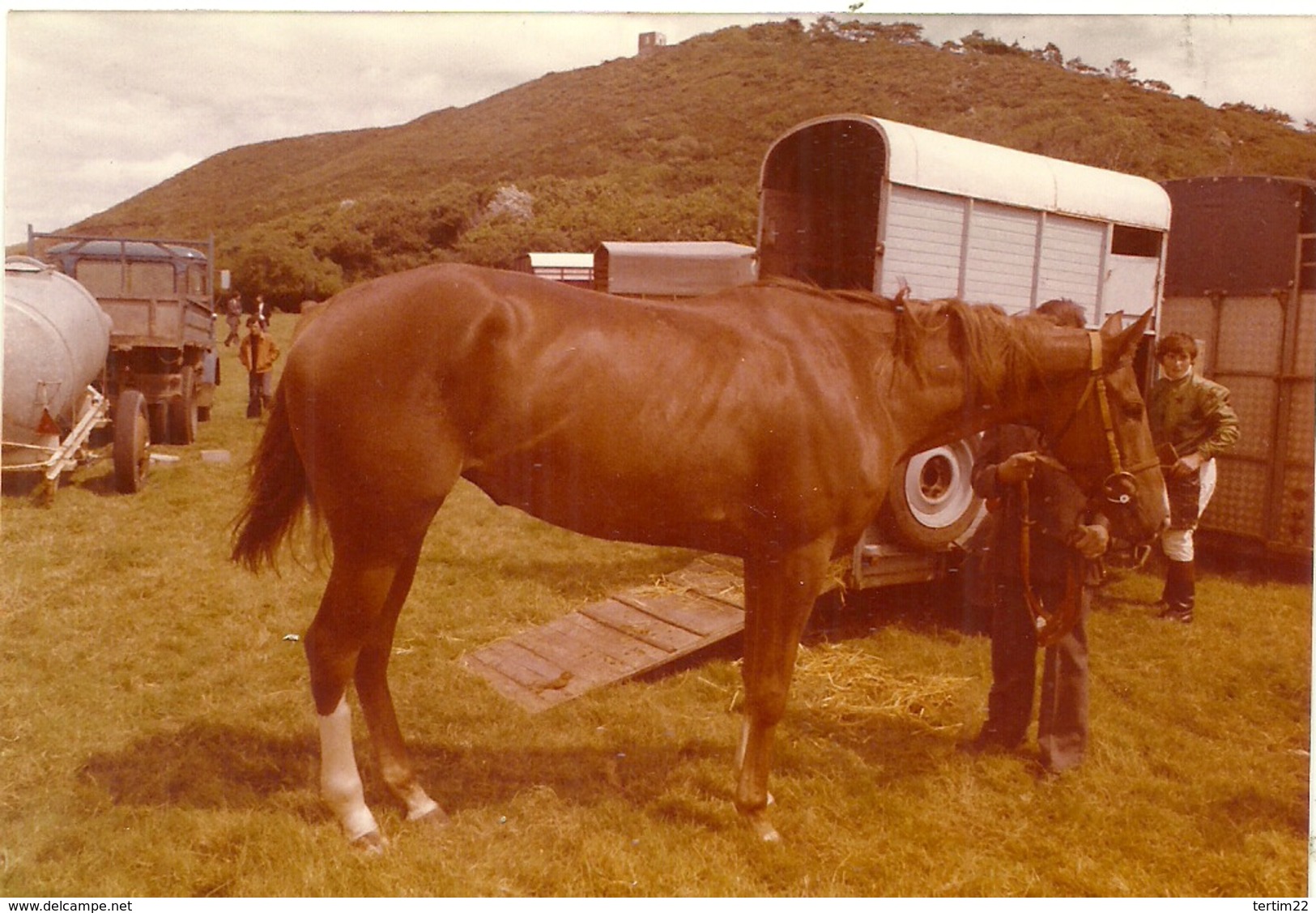 (METIERS )( CHEVAUX ) - Berufe