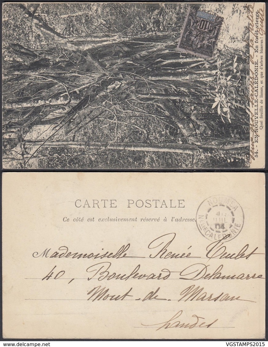 Nouvelle-Calédonie 1907 - CP " En Nouvelle-Calédonie - En Forêt Vierge " (5G) DC1153 - Nouvelle-Calédonie