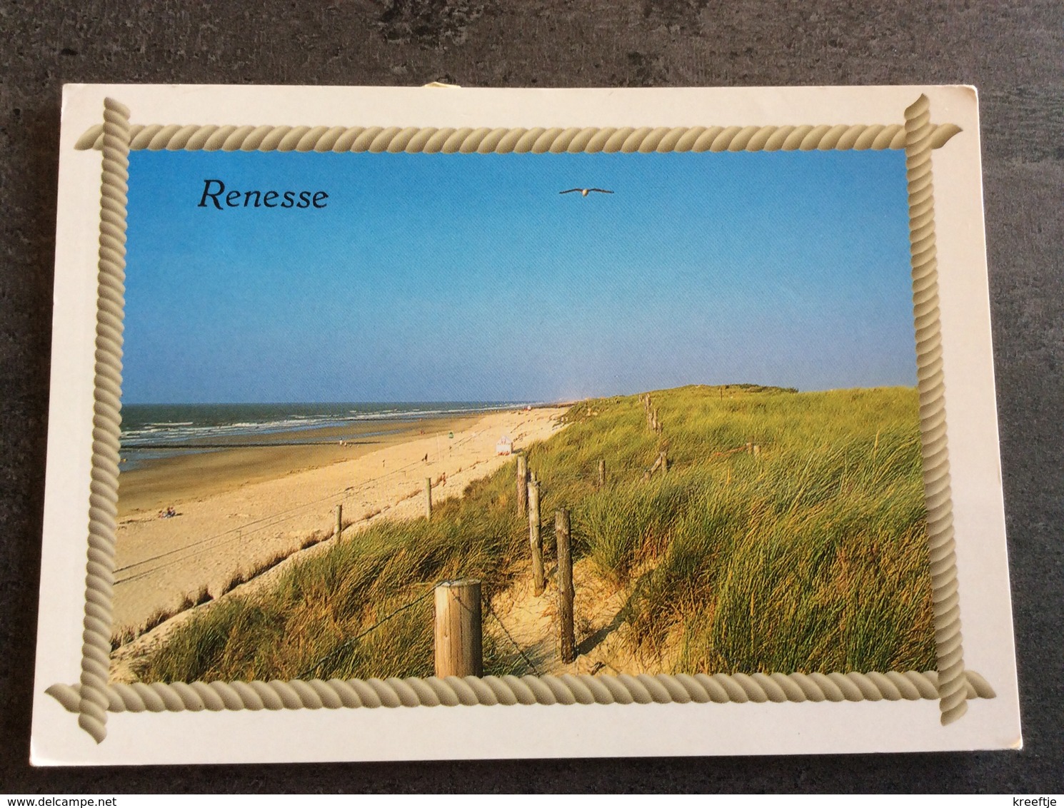 Nederland. Pays-Bas. Holland. Renesse. - Renesse