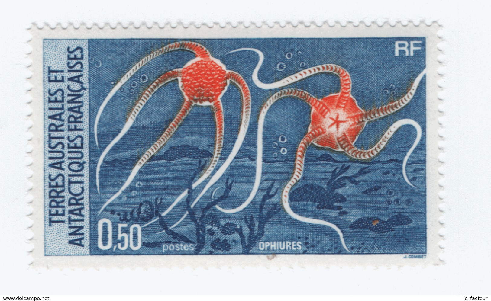 VP7L3 TAAF FSAT Neufs** MNH  Ophiures 0.50F N°122  1987 - Neufs