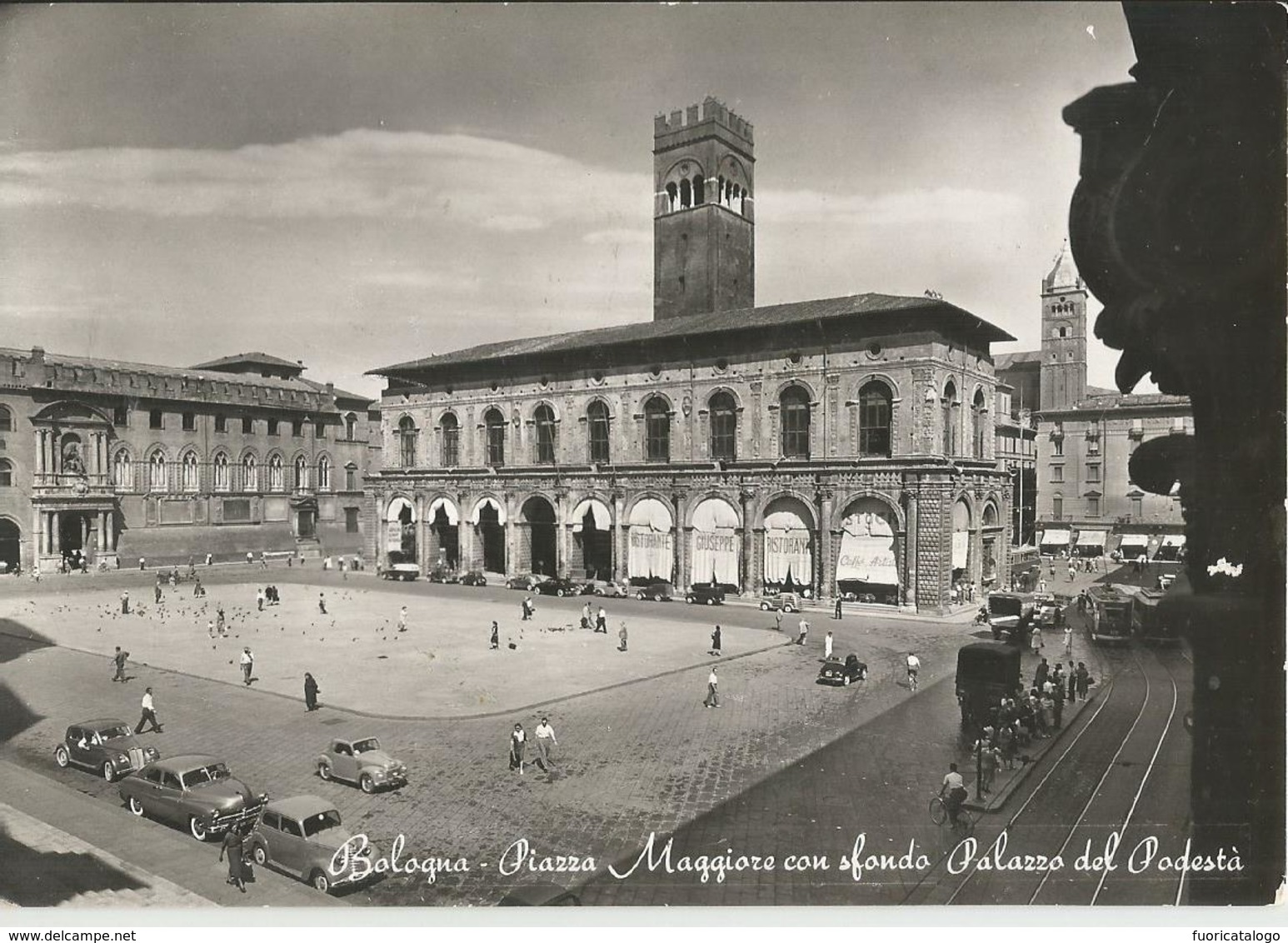 BOLOGNA PIAZZA MAGGIORE -AUTO E TRAM DEL TEMPO -FG - Bologna