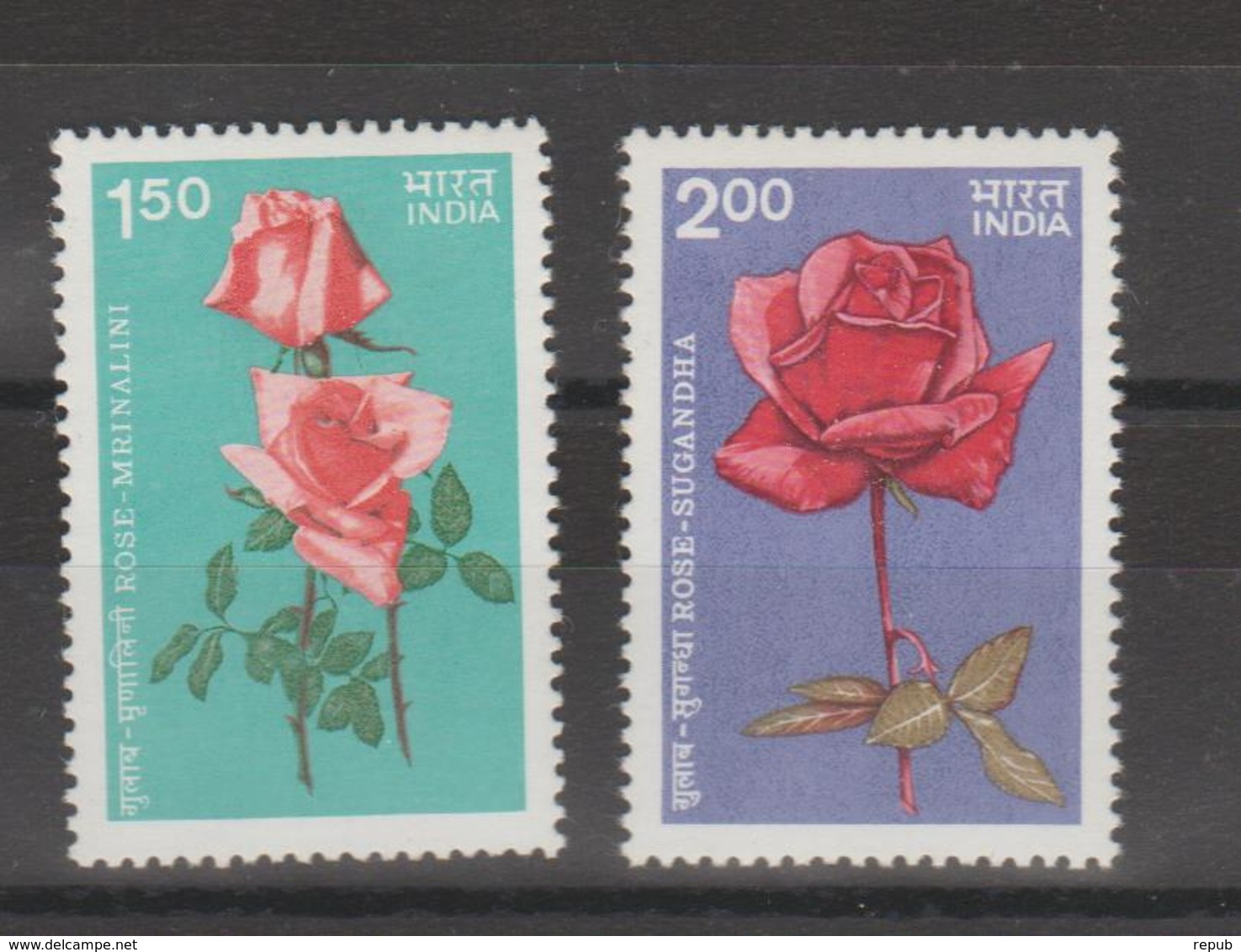 Inde 1984 Fleurs Roses Série 824-25 2 Val ** MNH - Neufs