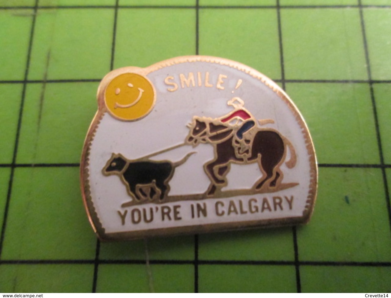 812b Pins Pin's / Rare & De Belle Qualité  THEME : VILLES / VACHE VEAU RODEO CANADA SMILE YOU'RE IN CALGARY - Villes