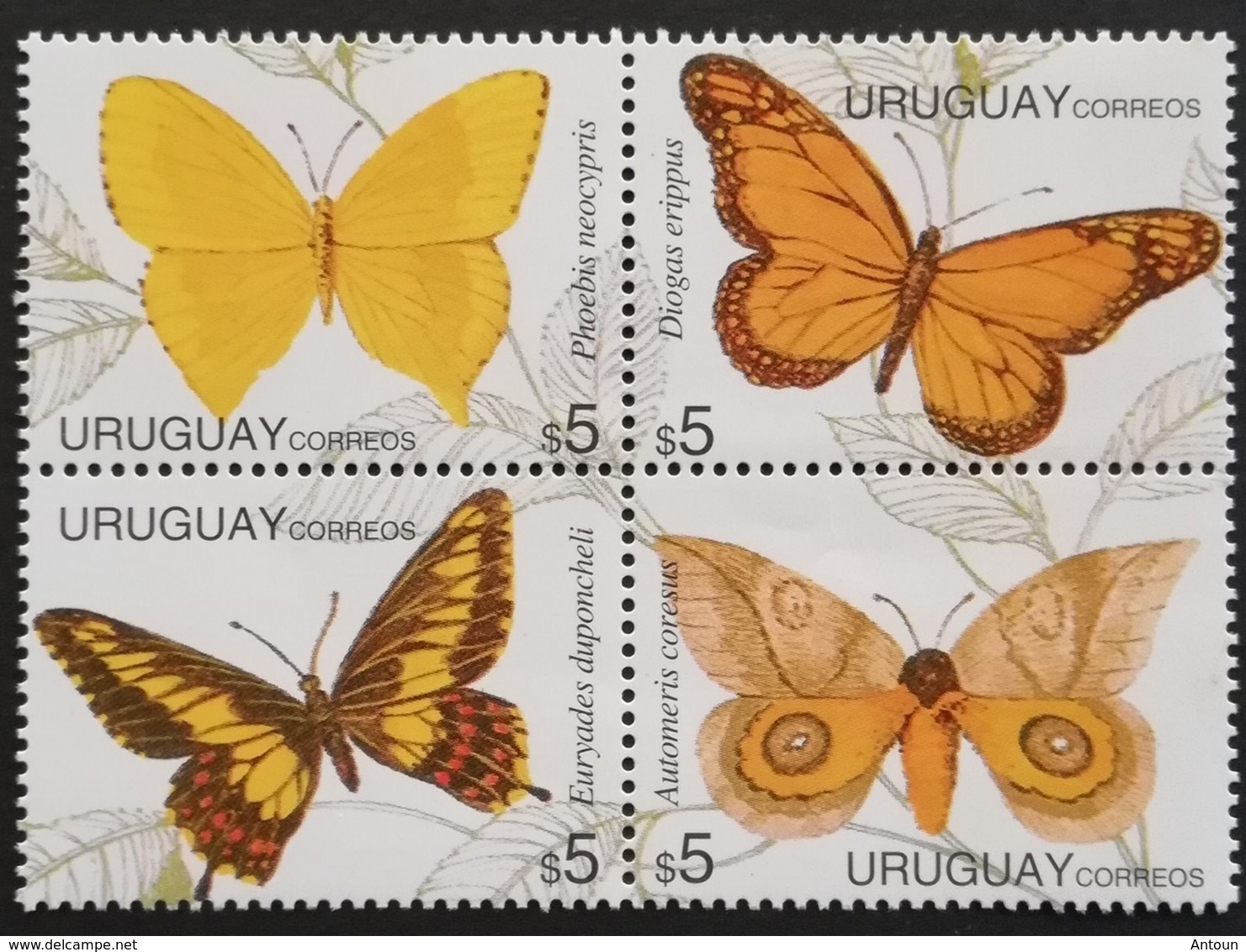 Uruguay  1995 Butterflies - Uruguay