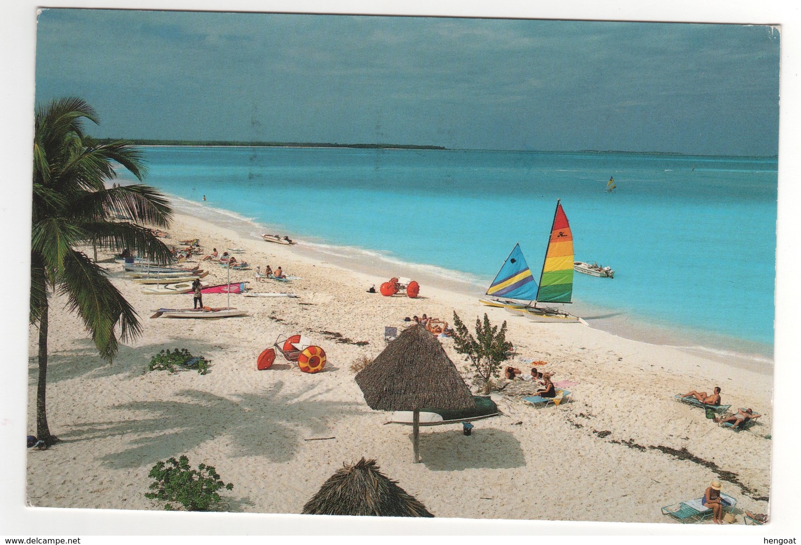 Beau Timbre , Stamp " OISEAU " Sur Cp , Carte , Postcard De JUIN 1994 - Bahamas (1973-...)