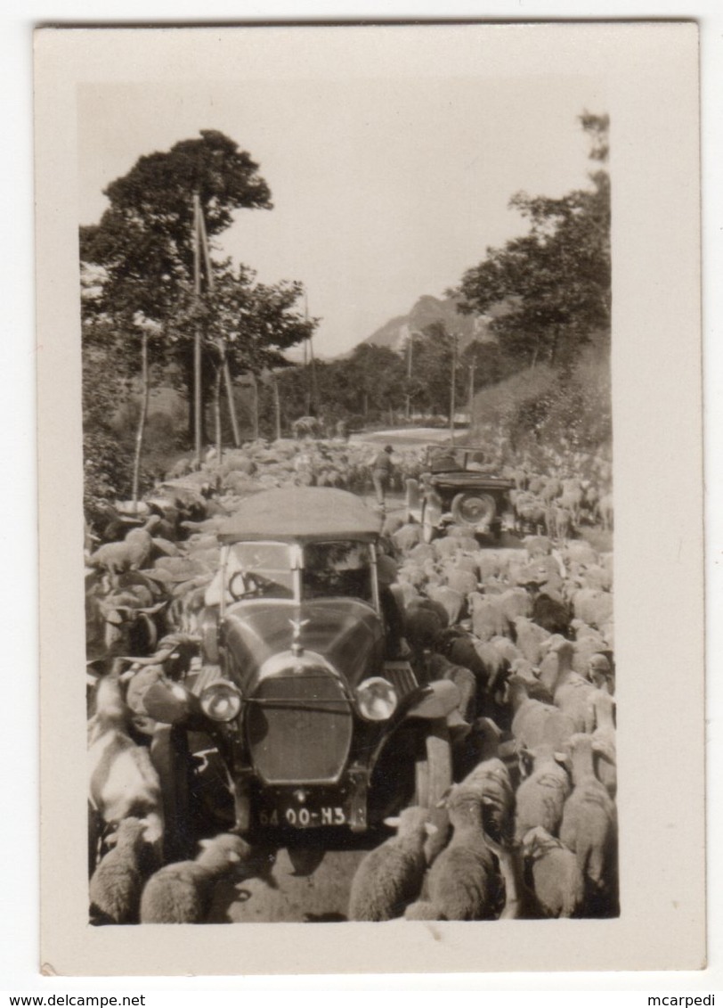 < Automobile Auto Voiture Car >> Belle Photo Originale 5 X 7 Hotchkiss AM2 - Cars