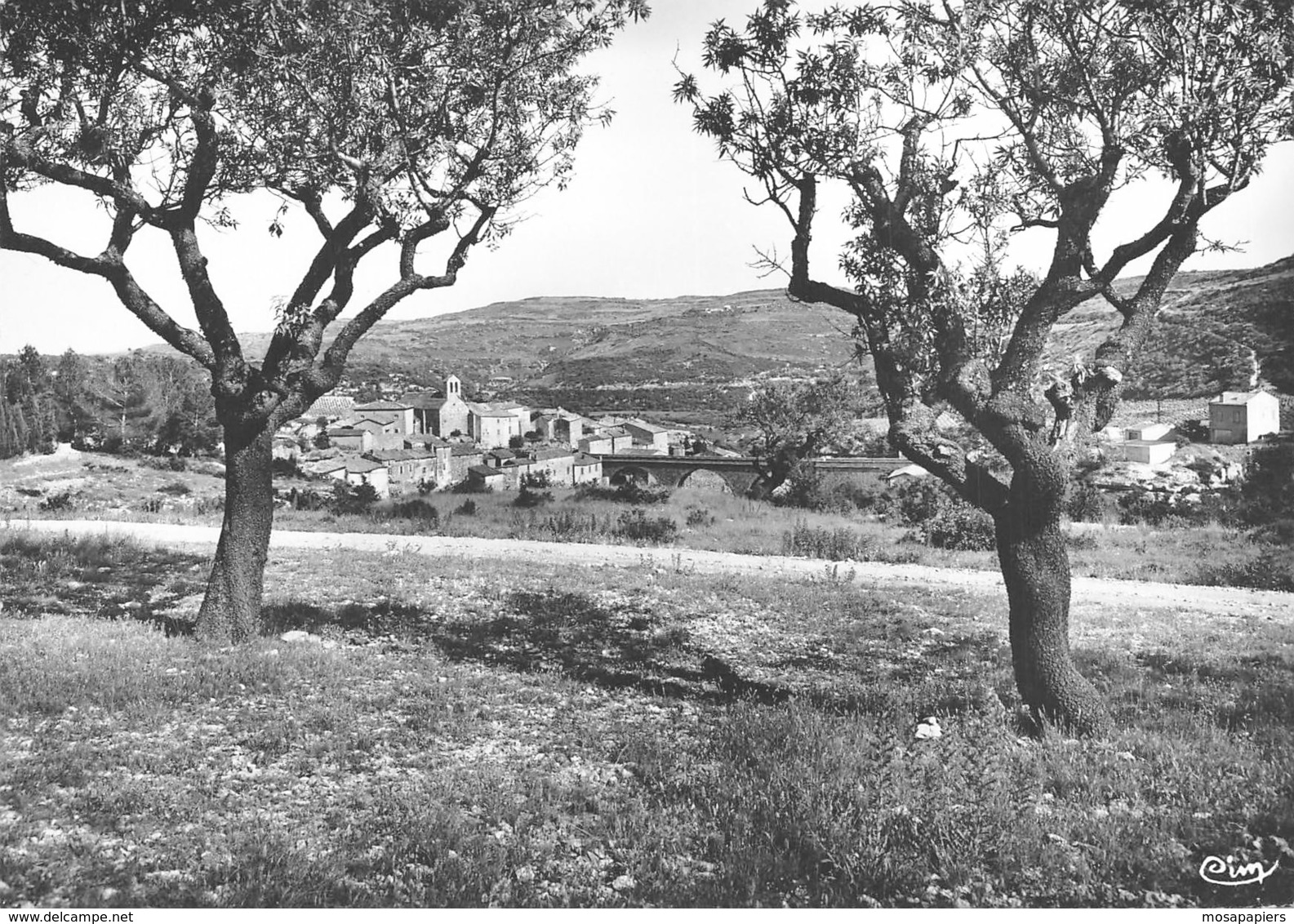 Minerve - Vue Générale - Autres & Non Classés