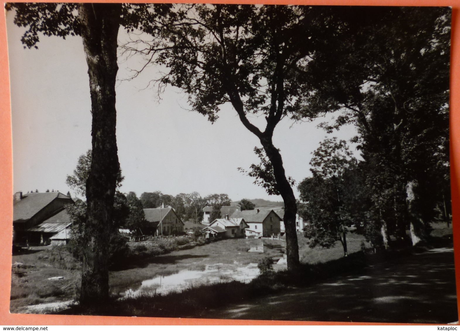 CARTE METABIEF MONT D' OR - 25 - PAYSAGE DU HAUT DOUBS - SCANS RECTO VERSO -11 - Autres & Non Classés