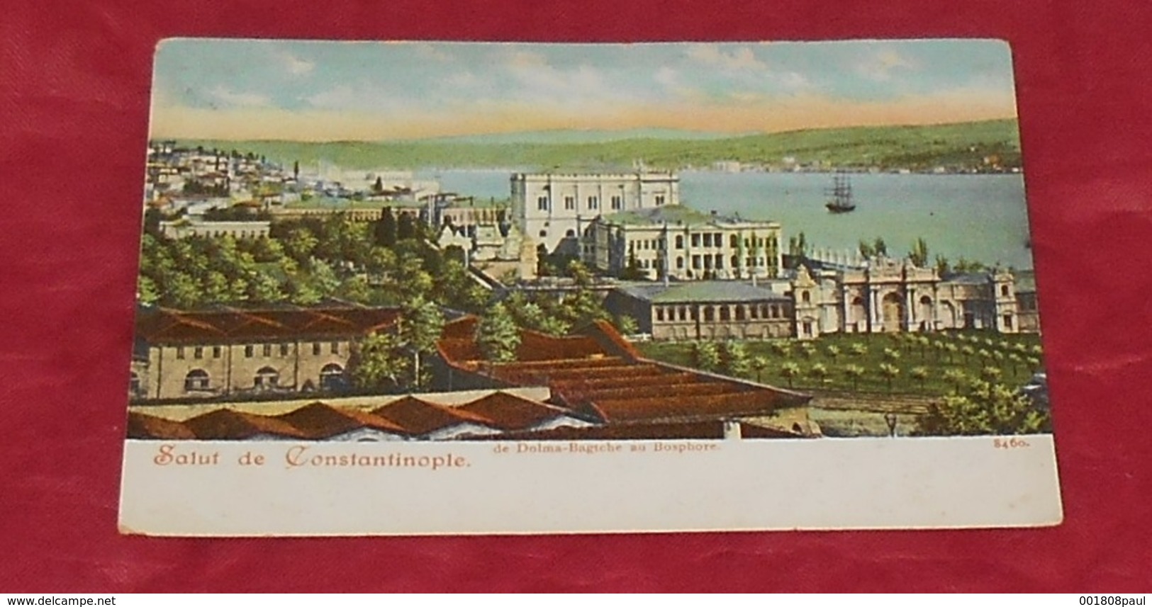 Salut De Constantinople - De Dolma Bagtche Au Bosphore    ------------ 481 - Turquie