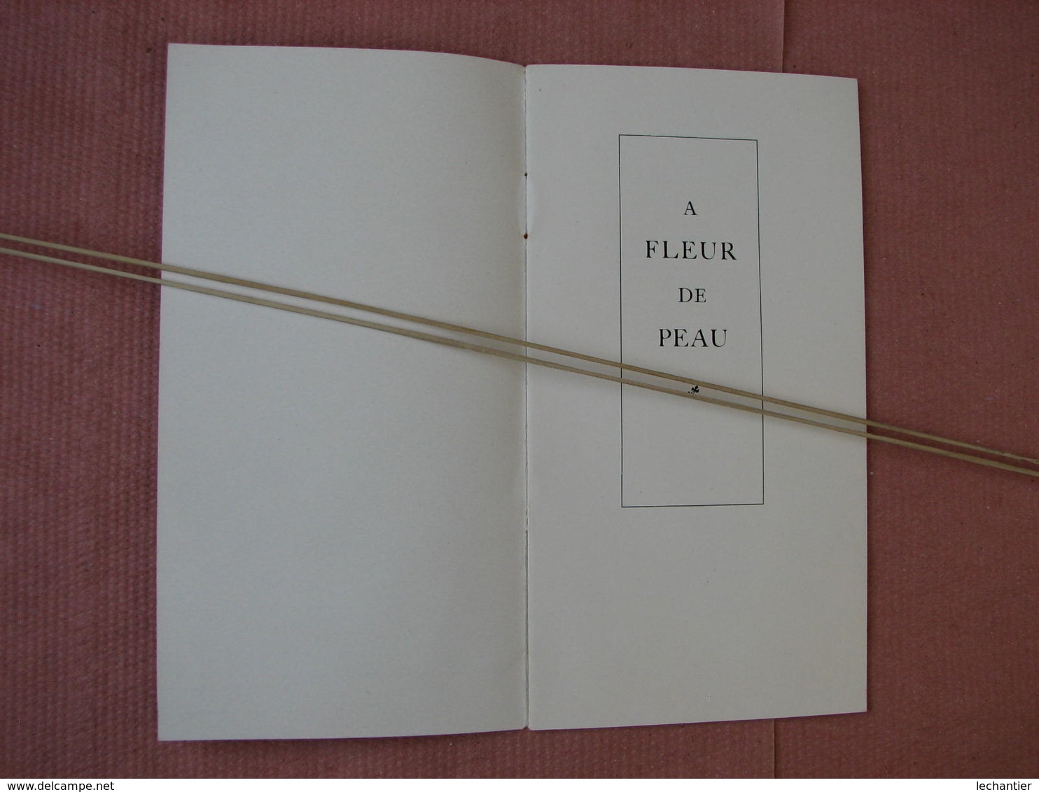 A Fleur De Peau  Malaceine Superbe Doc. 16 Pages 9X17 Papier Glacé An Estim. 1920/30 - Non Classés