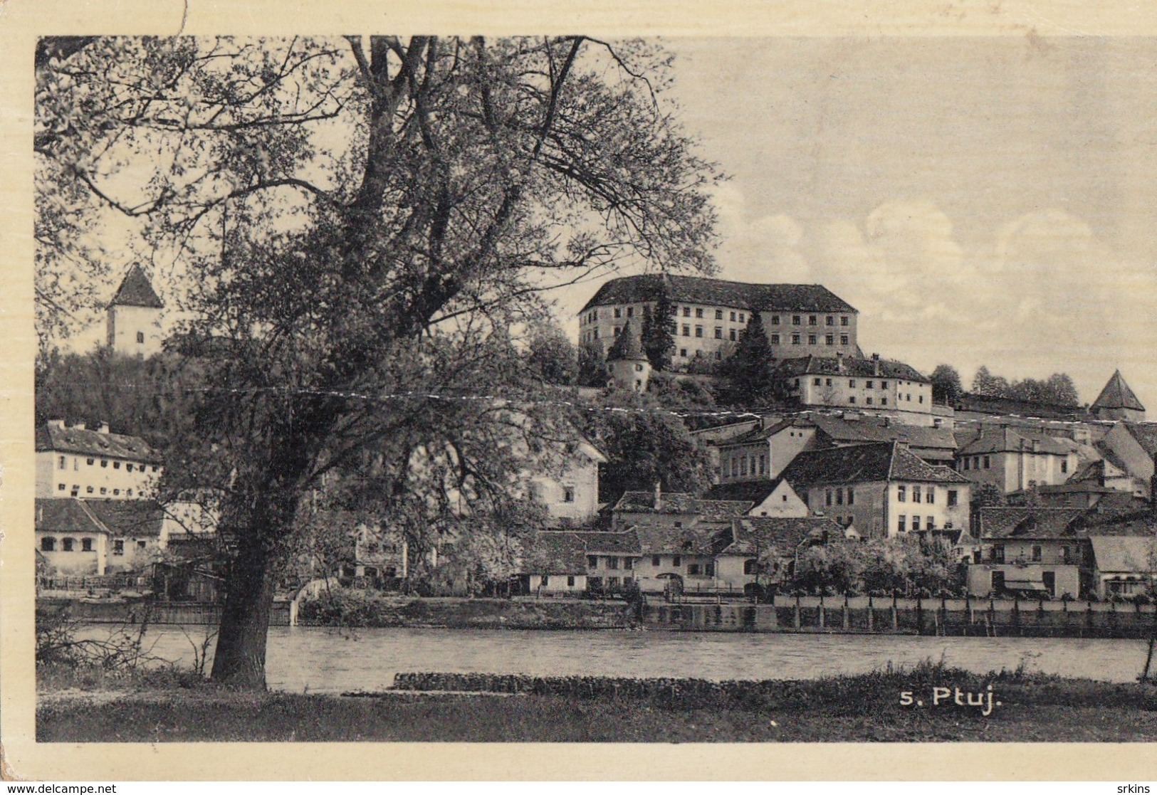 Postcard Ptuj Slovenia Slovenija 1939 - Slovénie