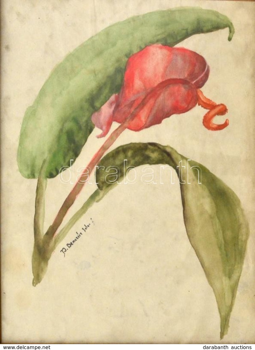 Benczúr Jelzéssel: Virágszál. Akvarell, Papír, Foltos, üvegezett Keretben, 25×19 Cm - Sonstige & Ohne Zuordnung