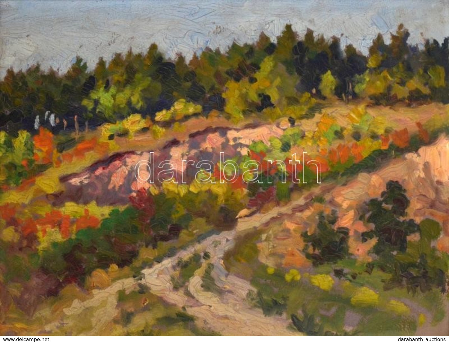 Jelzés Nélkül: Nyári Színek A Mezőn. Olaj, Karton, Keretben, 29×38 Cm. - Other & Unclassified