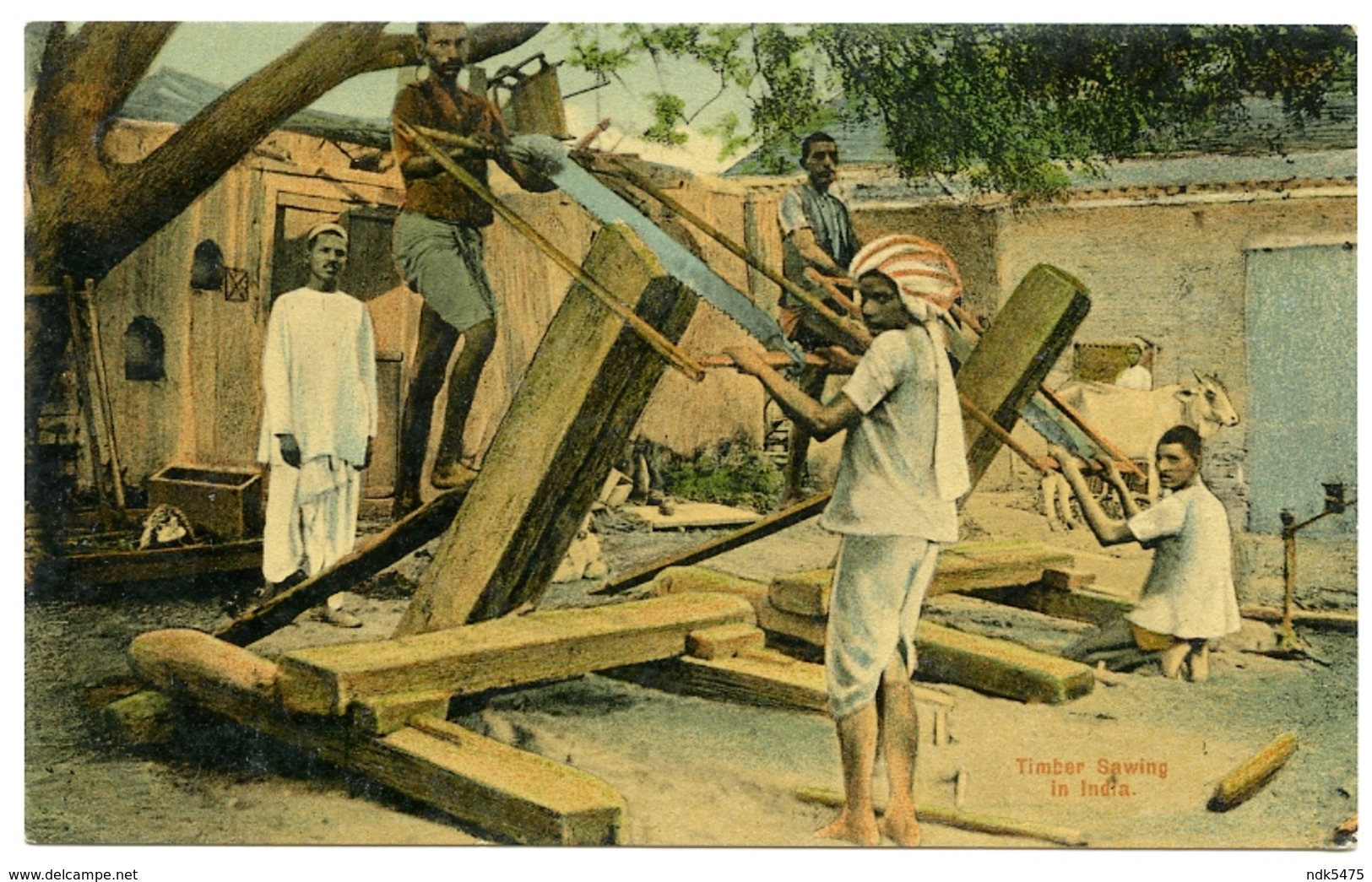 INDIA : TIMBER SAWING - India