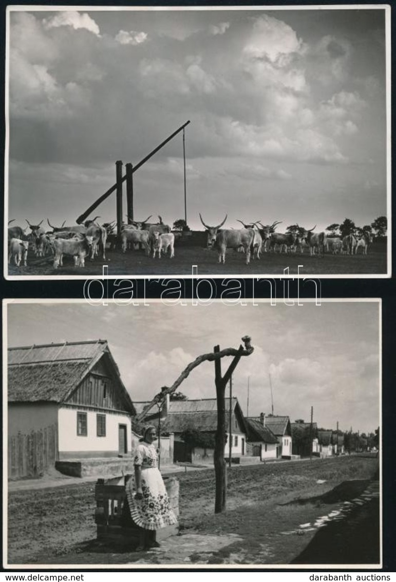 Cca 1936 Czvek Gyula 4 Db Pecséttel Jelzett, Vintage Fotóművészeti Alkotása, 18x12 Cm - Other & Unclassified