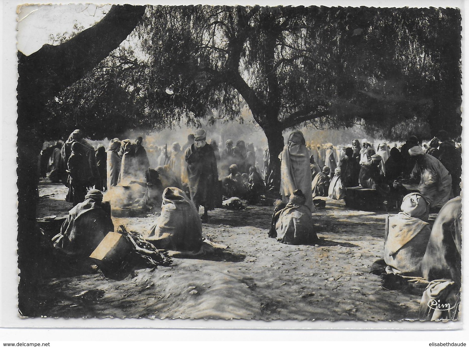 ALGERIE - 1941 - PETAIN - CARTE De ALGER AVEC CENSURE ITALIENNE => BERGAMO (ITALIE) - Brieven En Documenten