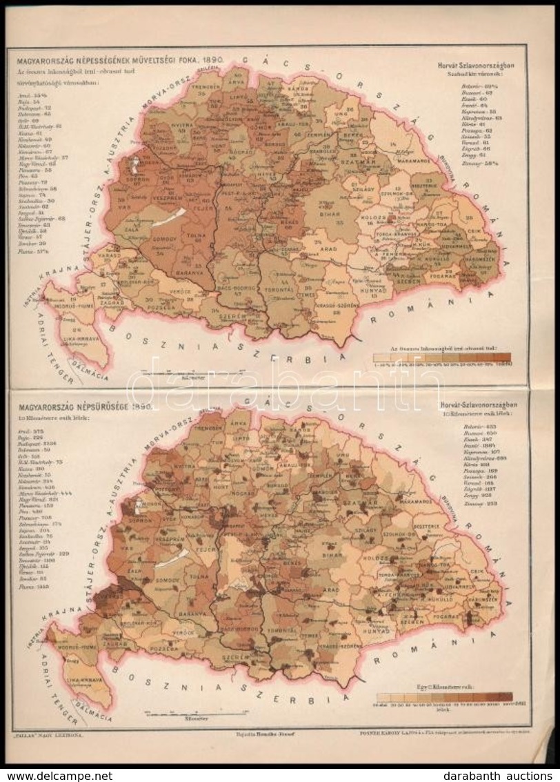 Magyarország Népességének Műveltségi Foka / Népsűrűsége 1890, 2 Db Térkép Egy Lapon, Pallas Nagy Lexikona Melléklete, Po - Other & Unclassified