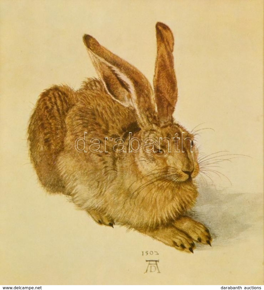 Reprint, Albrecht Dürer: Mezei Nyúl, Ofszet, üvegezett Keretben, 27×24 Cm - Ohne Zuordnung