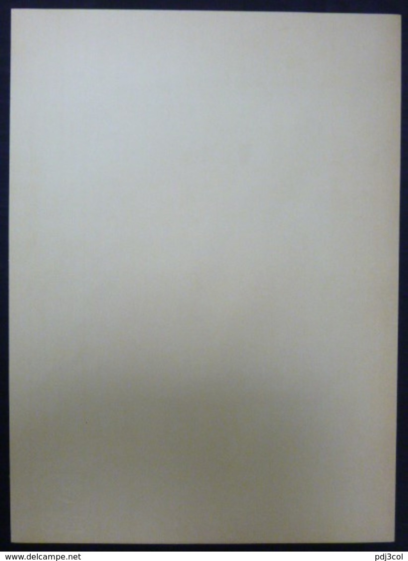 Les Maitres De L'affiche - N°28 - Très Belle Planche De Ed. Duyck & A. Crespin-Affiche Belge Pour La "Ferme De Frahinfaz - Posters