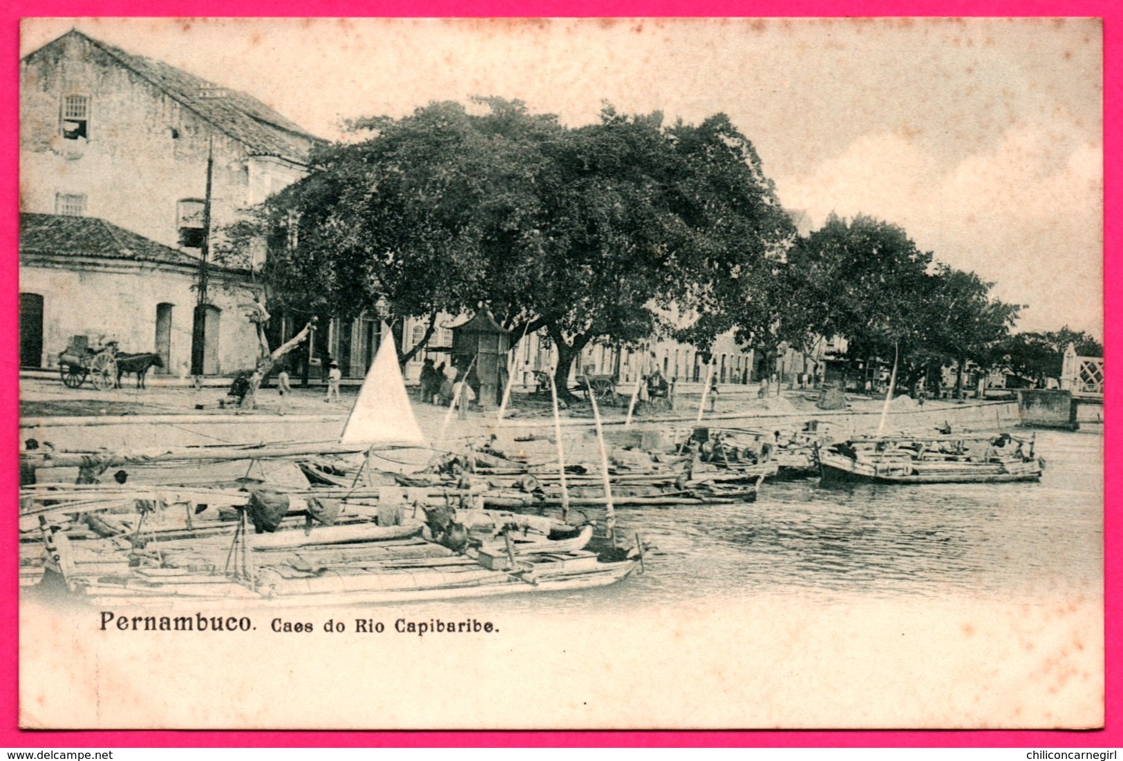 Brésil - Pernambuco - Caes Do Rio Capibaribe - Barque - Pirogue - Animée - Attelage - Recife