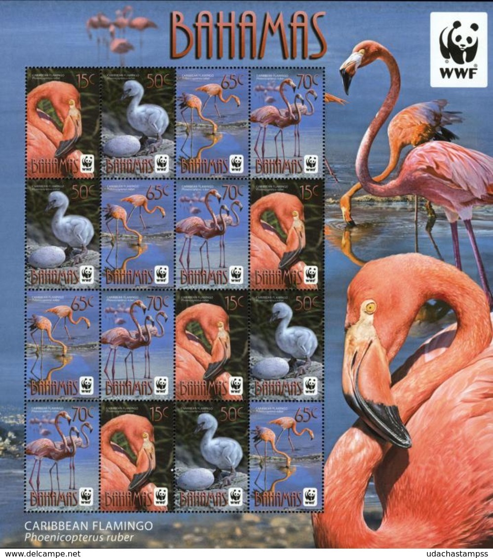 Bahamas 2012 Wwf Flamingo Birds Klb MNH - Neufs