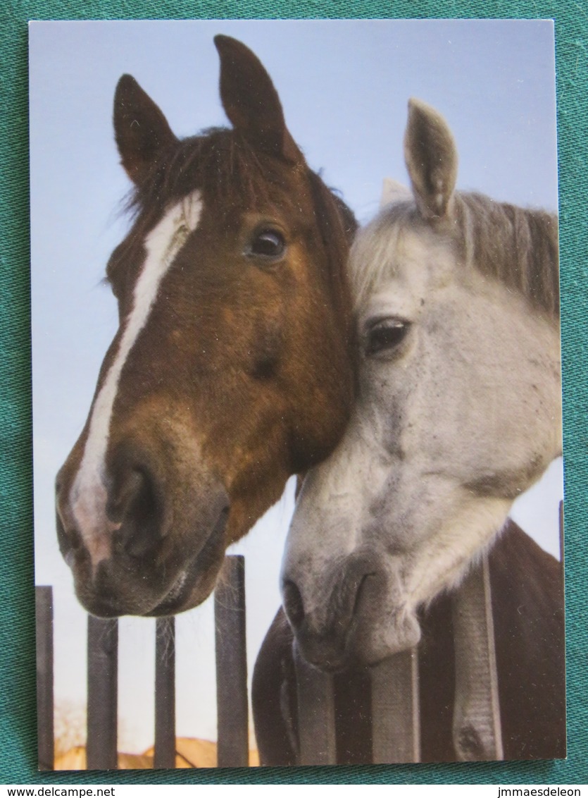 Sweden Postcard Horses - Suède