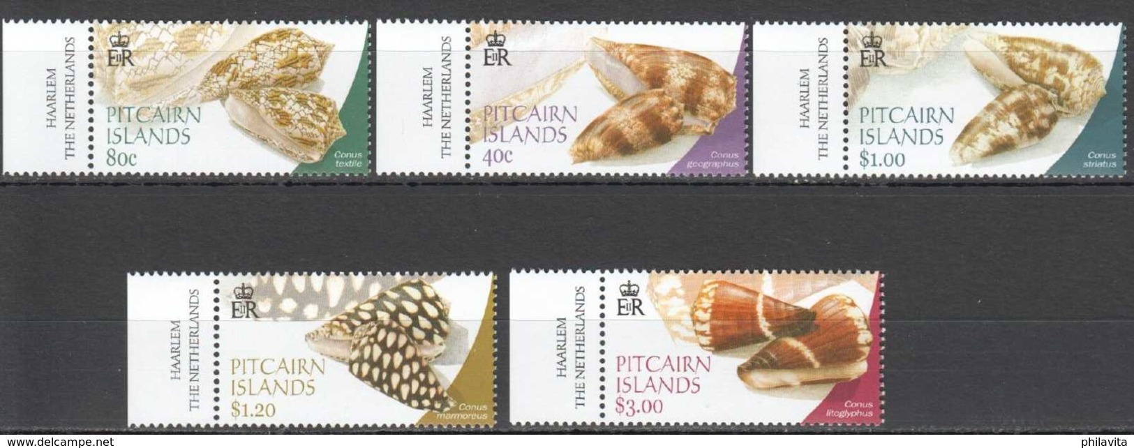 2003 Pitcairn Inslands - Cone Shels Of Pitcaits - MNH** MiNr. 628 - 632 8kk) Con. Textile, Con. Lithoglyphus, Con. - Pitcairninsel