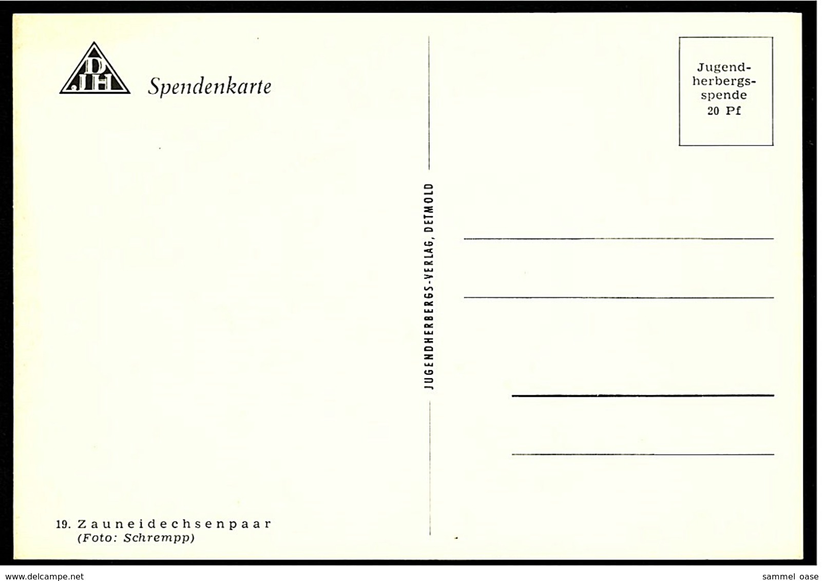 Zaun-Eidechsen-Paar  -  Deutsche Jugendherberge DJH  -  Ca. 1975   (9380) - Sonstige & Ohne Zuordnung