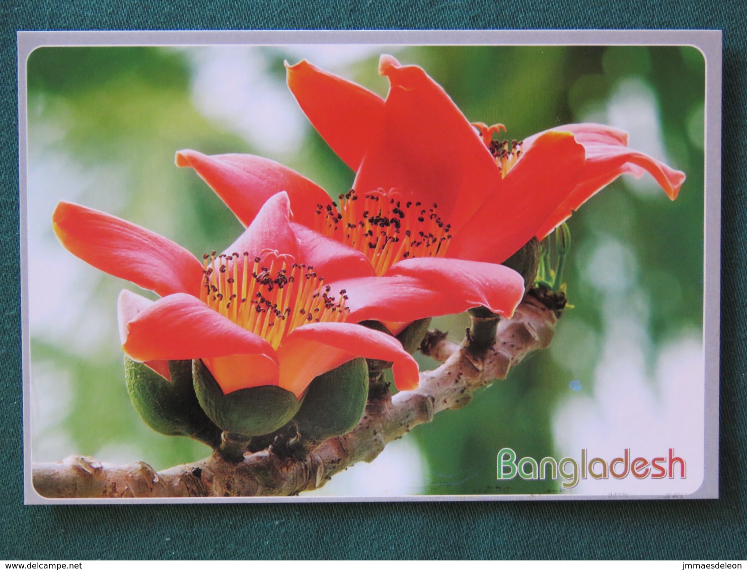 Bangladesh Postcard "flowers" Unused - Bangladesch