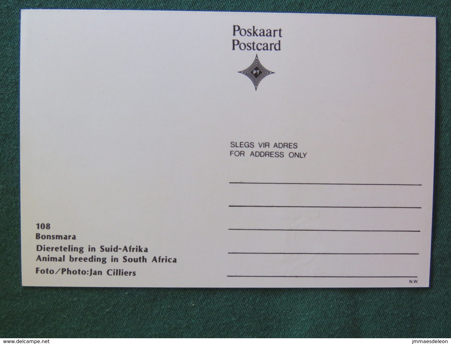 South Africa 1991 FDC Stationery Maxicard "cows - Bonsmara" - Afrique Du Sud