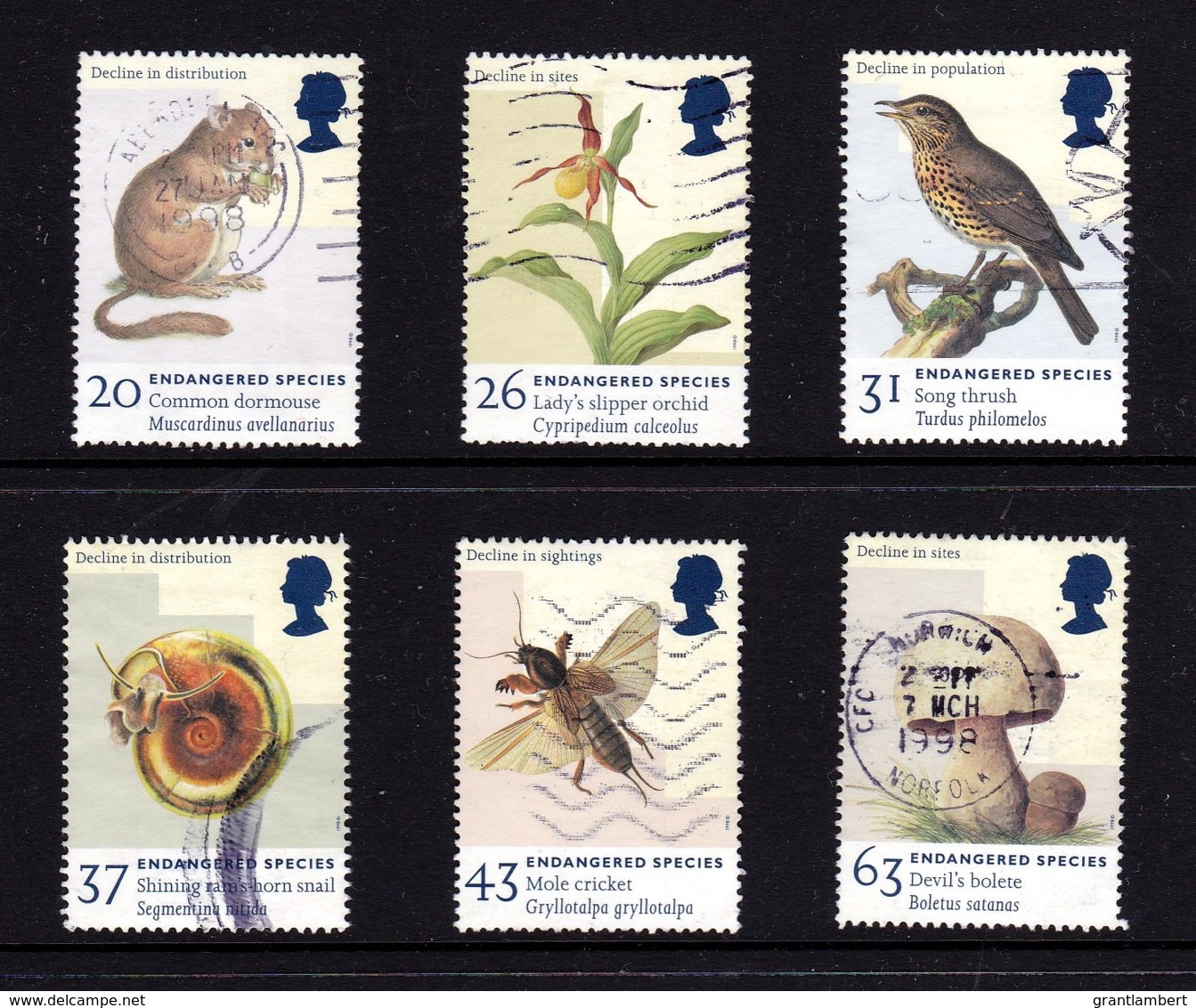 Great Britain 1998 Endangered Species Set Of 6 Used - Gebruikt