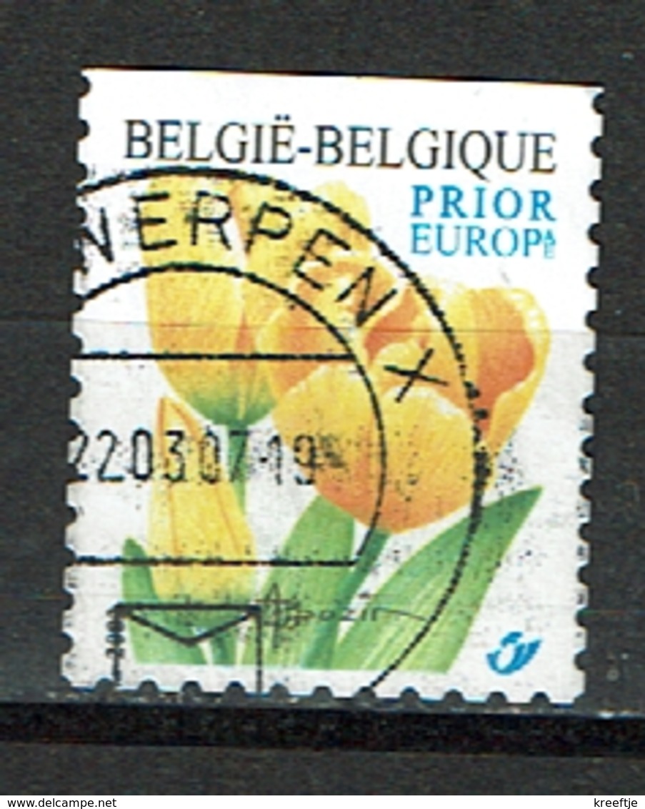 Gele Tulp Uit 2003, Boven Ongetand (OBP 3223 ) - Oblitérés