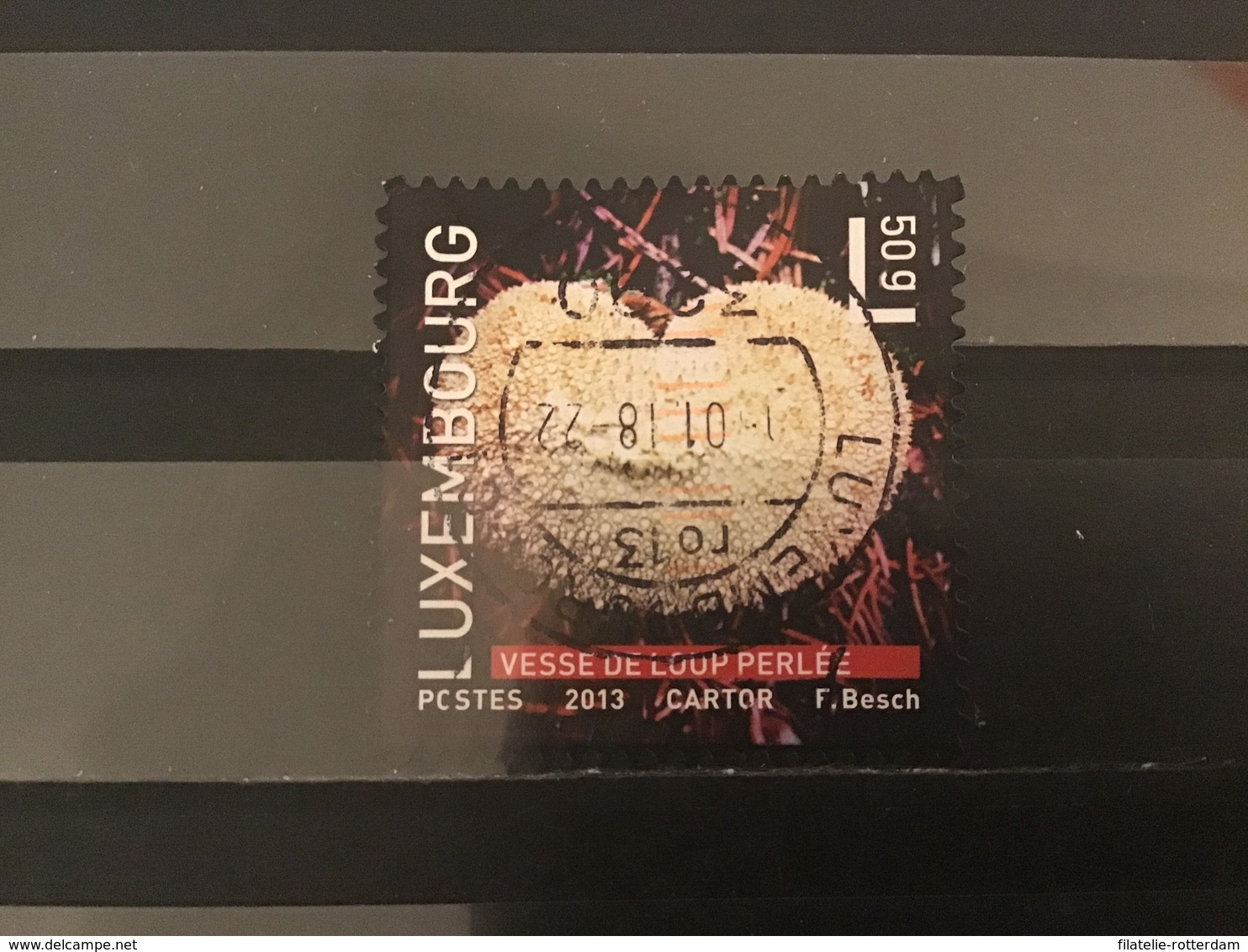 Luxemburg / Luxembourg - Paddenstoelen 2013 - Used Stamps
