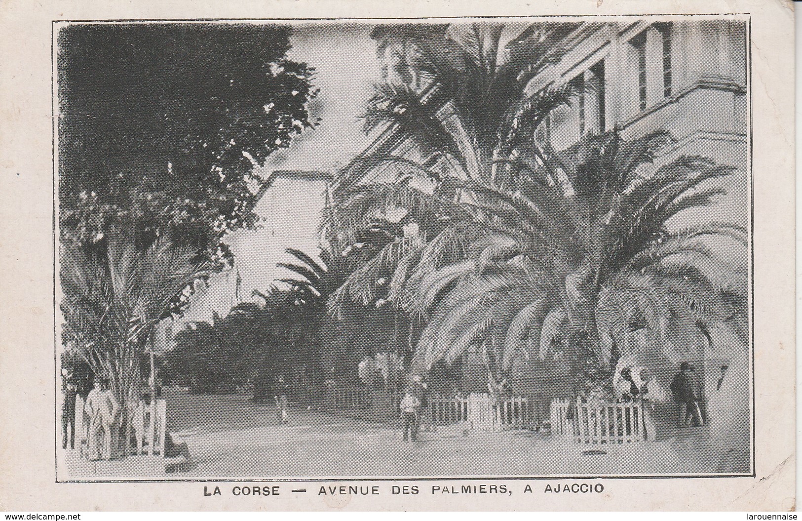 20A - AJACCIO - Avenue Des Palmiers - Ajaccio
