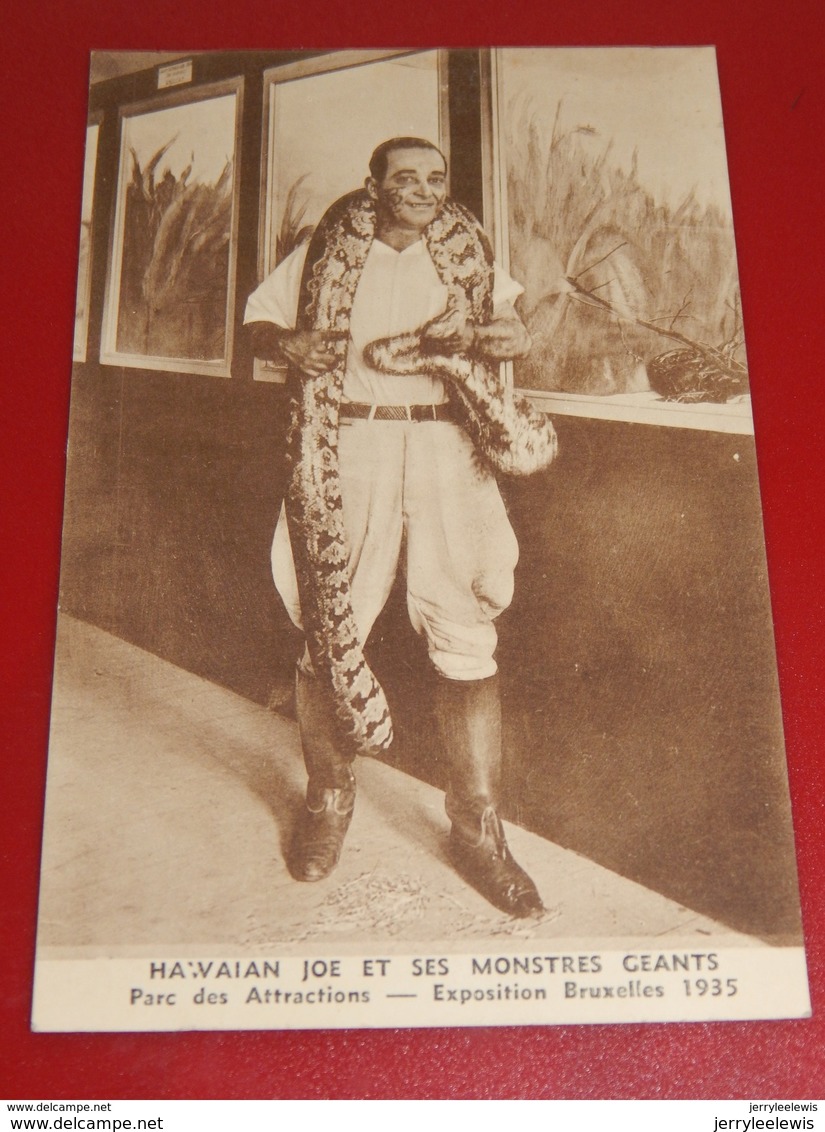 BRUXELLES EXPOSITION 1935 - " Hawaian Joe Et Ses Monstres Géants "  Au Parc Des Attractions - Anhée