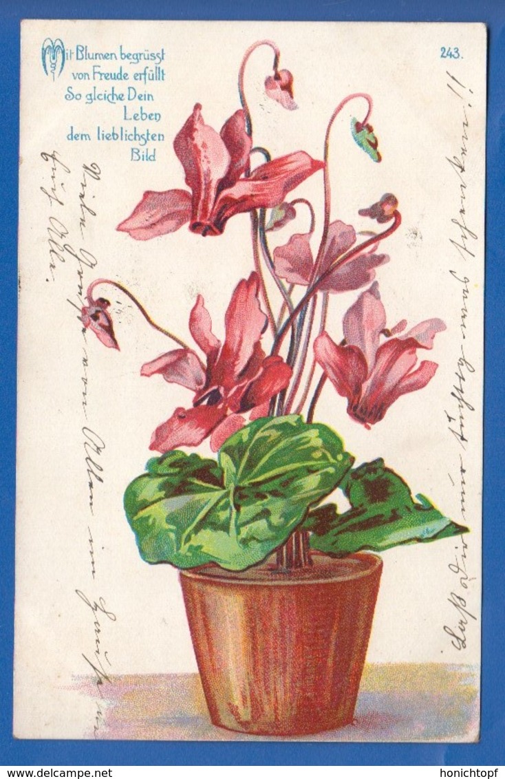 Blumen; Fleurs; 1908 - Blumen