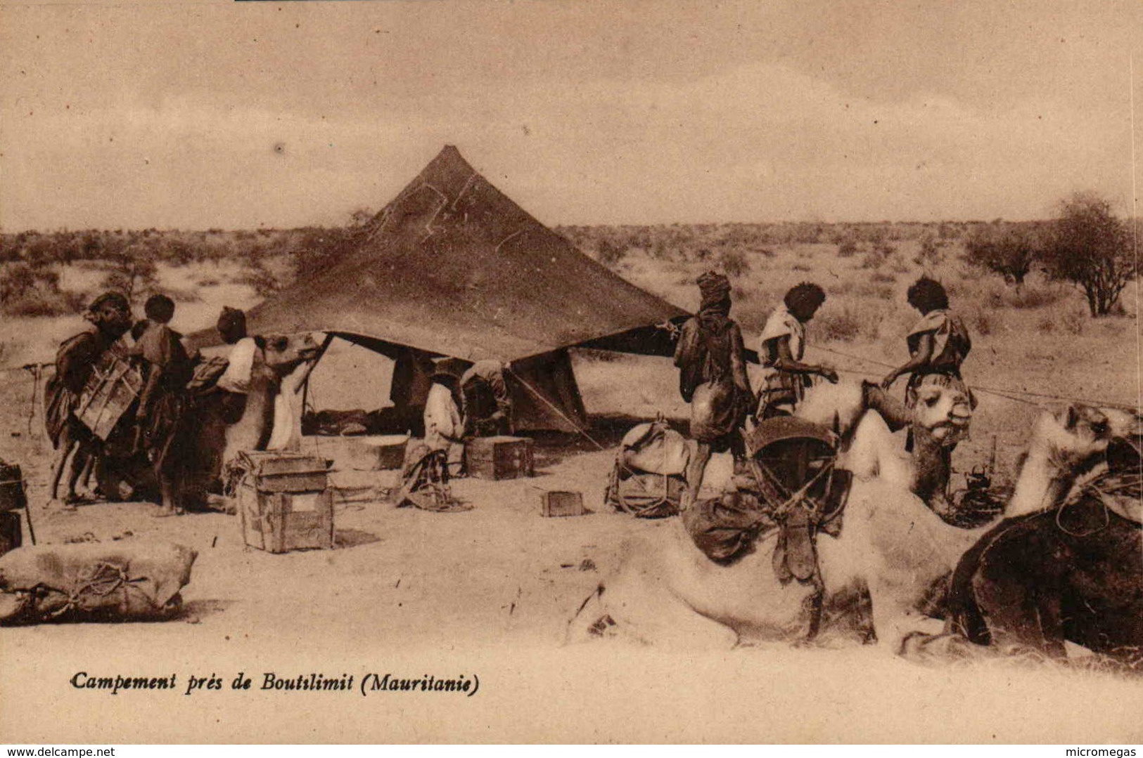 MAURITANIE - Campement Près De Boutilimit - Mauritanie