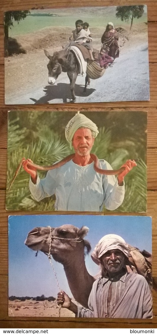 Lot De 26 Cartes Postales / Personnages D' AFRIQUE / TUNISIE - Tunisie