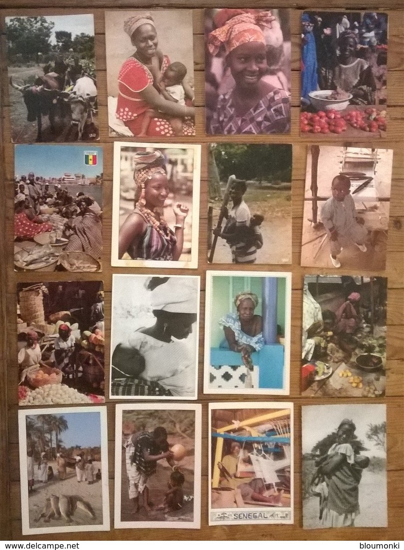 Lot De 32 Cartes Postales / Personnages D' AFRIQUE / SENEGAL - Sénégal