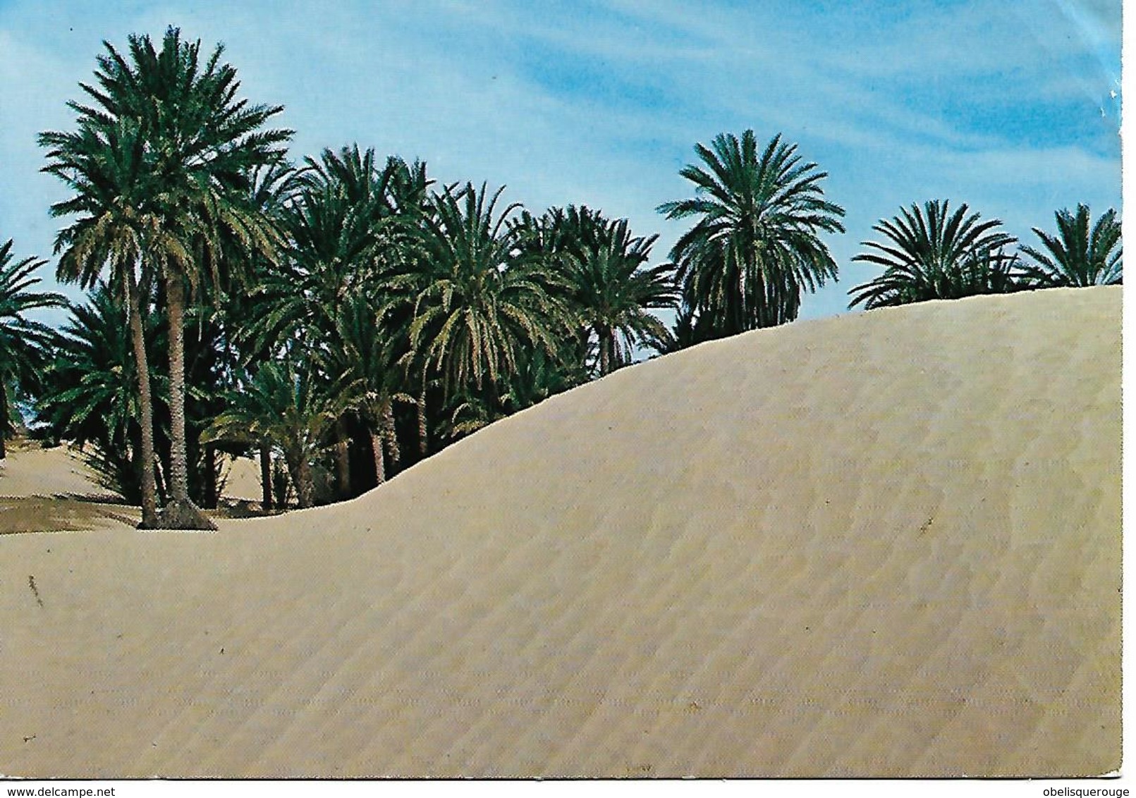 TUNISIE SAHARA 1972 - Tunisie