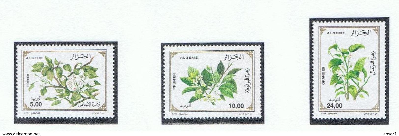 Algerië 1999    Xxx 6 Bloem Fleur Flower - Autres & Non Classés