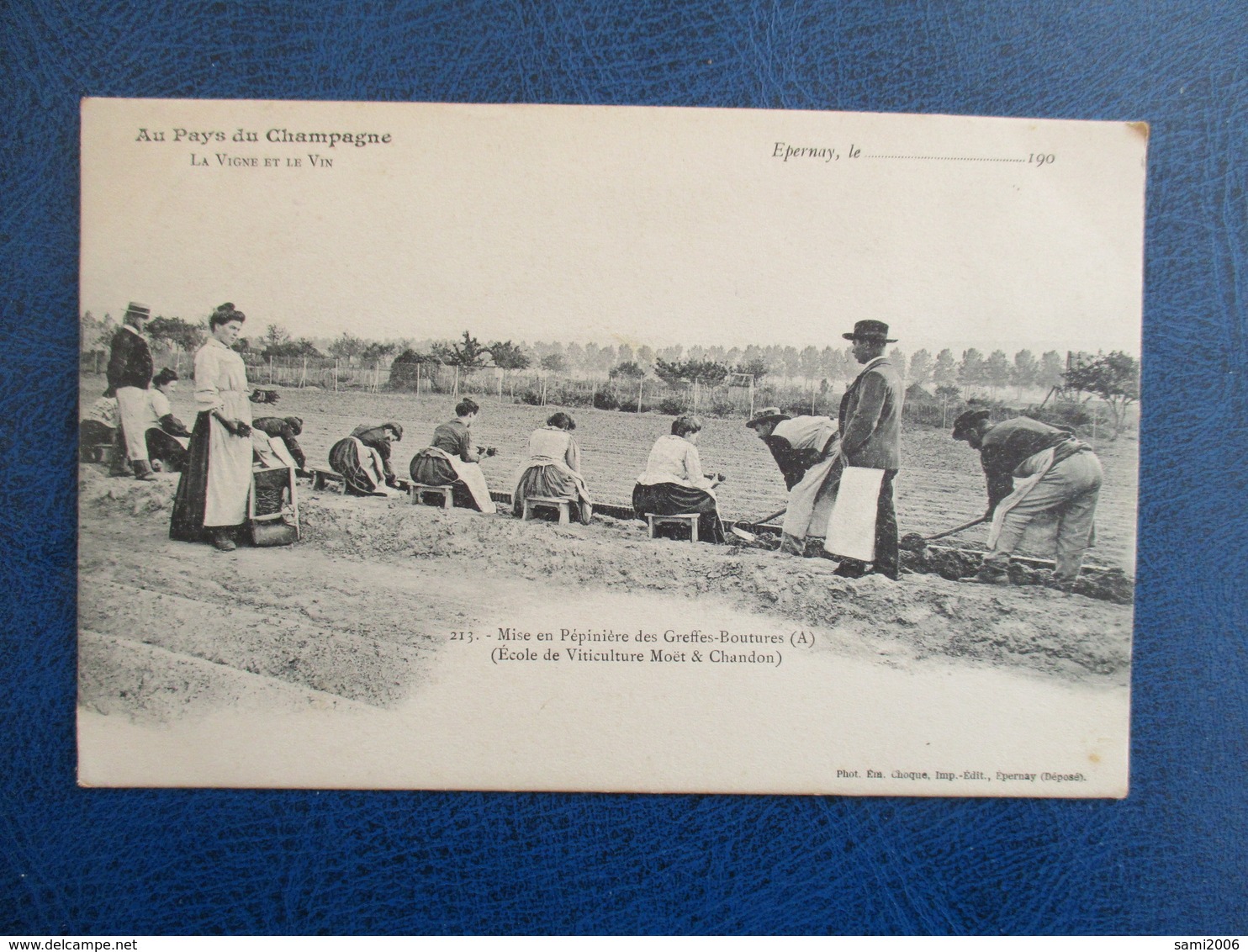 CPA 51 EPERNAY MISE EN PEPINIERES DES GREFFES BOUTURES ECOLE DE VITICULTURE MOET ET CHANDON ANIMEE - Epernay