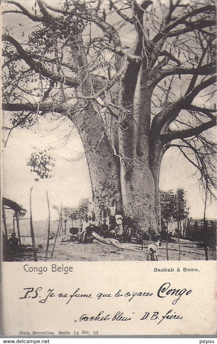 Congo Belge Pub Cigares "cachets Bleus" Baobab A Boma Nels Serie 14 No 33 - Belgisch-Congo