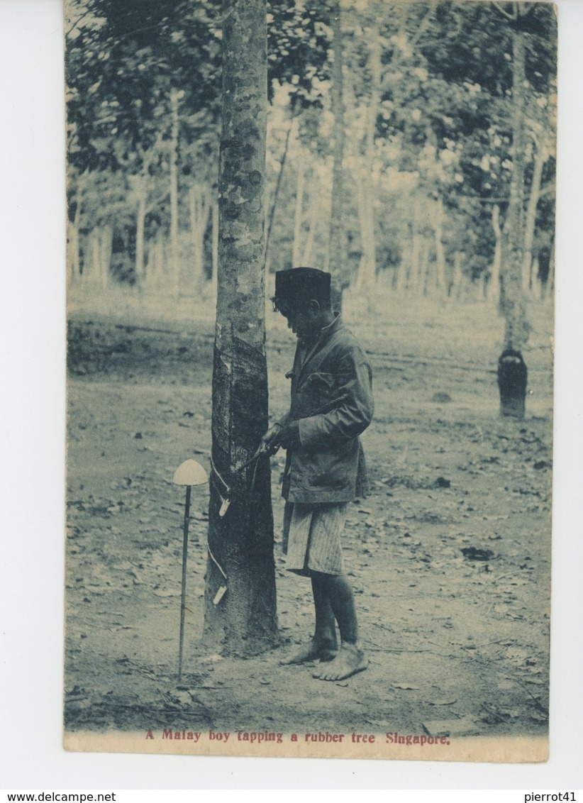 ASIE - SINGAPOUR - SINGAPORE - A Malay Boy Tapping A Rubber Tree - Singapour