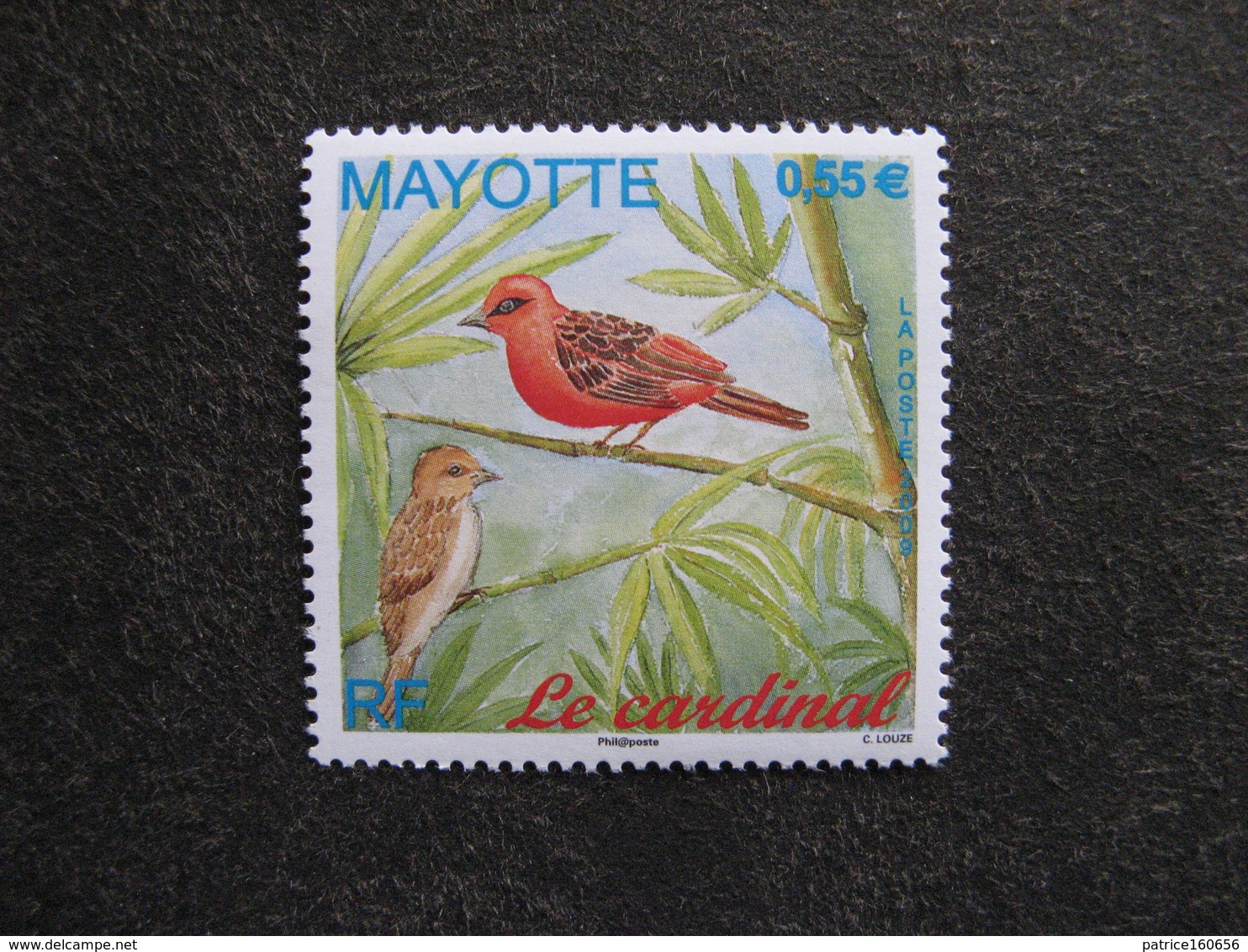 Mayotte: TB N° 221, Neuf XX . - Neufs